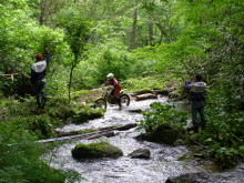 b0086858_1445229.jpg