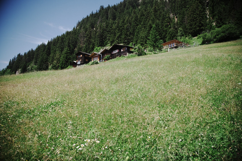 d0002958_525471.jpg