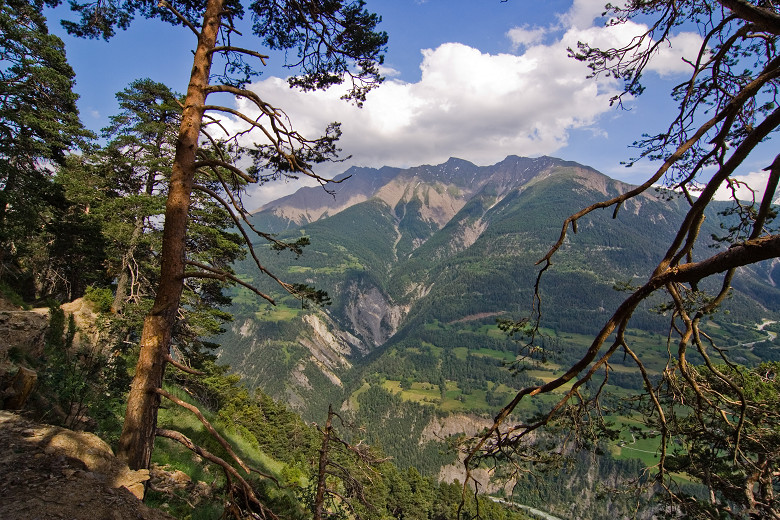 d0002958_5371930.jpg