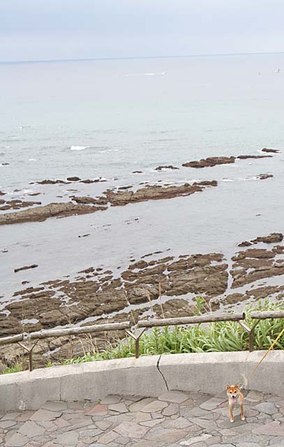 c0072370_19212872.jpg