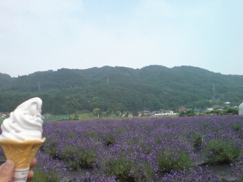 f0137483_8114085.jpg