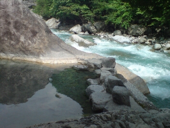 f0137483_8254160.jpg