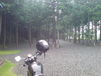 f0137483_9145816.jpg