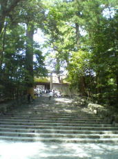 f0008692_1782785.jpg