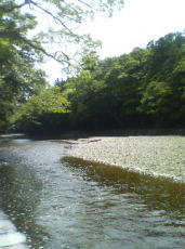f0008692_178573.jpg