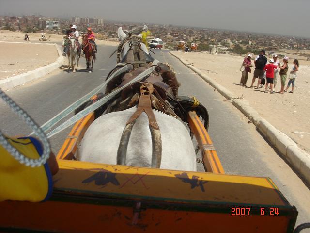 a0063997_455988.jpg