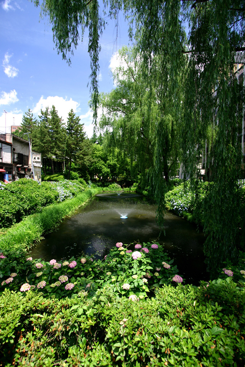 b0072697_2371424.jpg