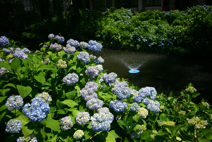b0072697_2373473.jpg