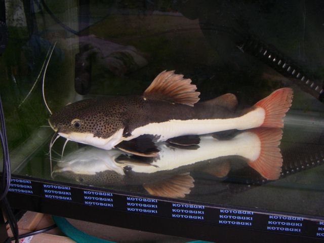 e0010301_15132443.jpg