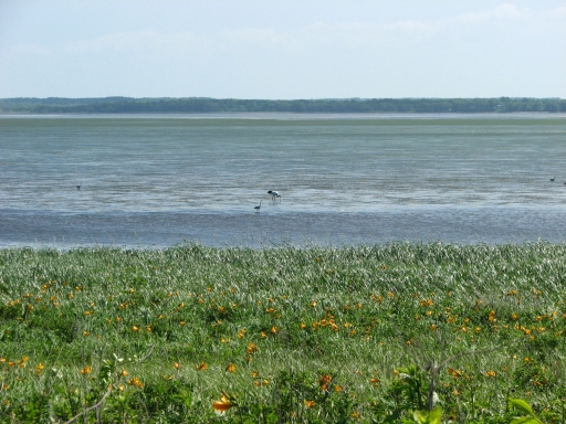 f0020302_22282949.jpg