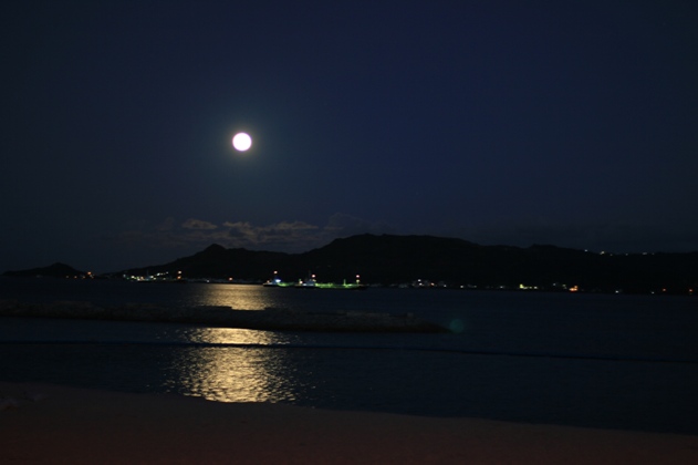 a0082706_152826.jpg