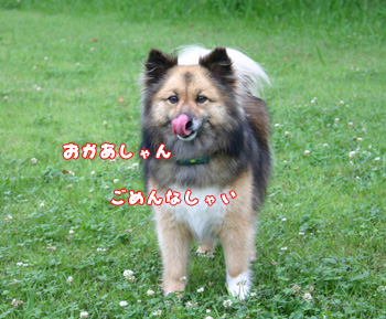 a0041108_22294411.jpg