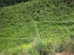 e0032609_9304295.jpg