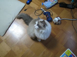 c0024410_2143952.jpg