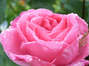 e0046112_1204845.jpg