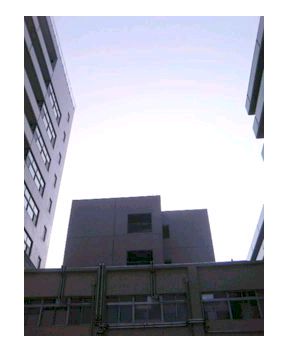 e0020214_17555434.jpg