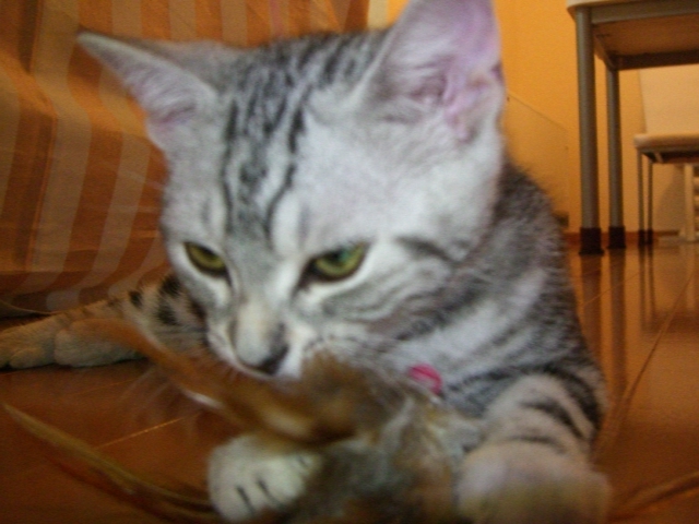 f0143115_16494479.jpg