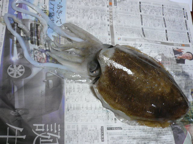 e0026017_061873.jpg