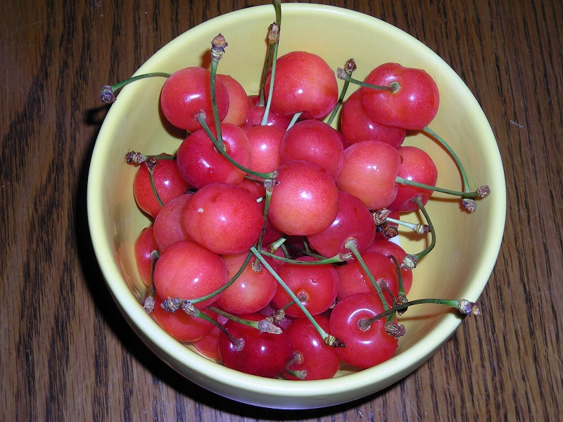 e0121418_0331440.jpg