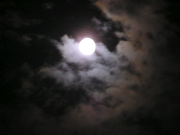 f0128723_15121100.jpg