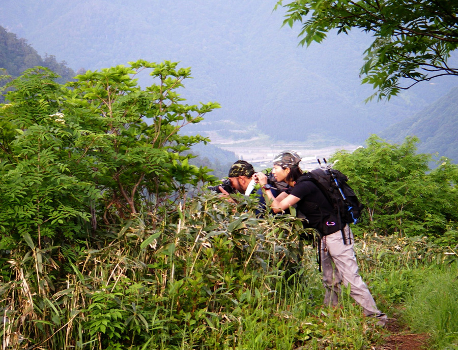 b0062024_6251049.jpg