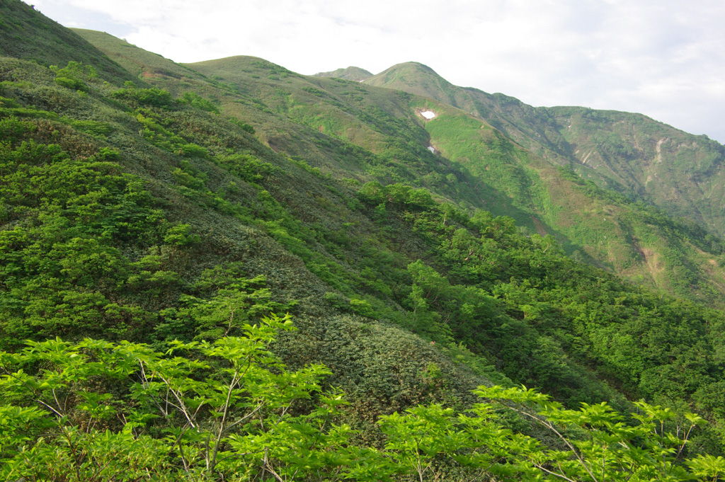 b0062024_6302655.jpg