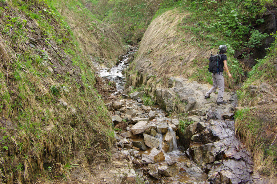 b0062024_6321790.jpg