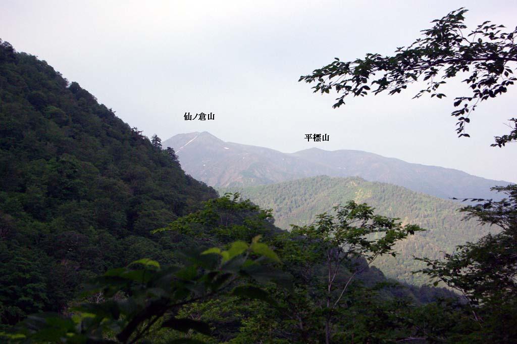 b0062024_645922.jpg