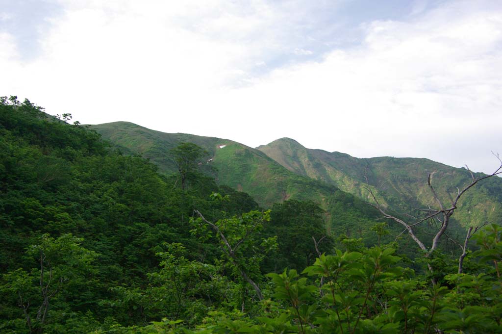 b0062024_682778.jpg