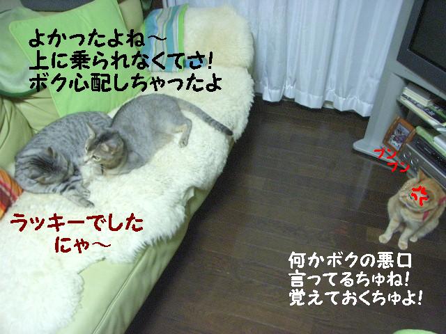 d0081025_22542994.jpg
