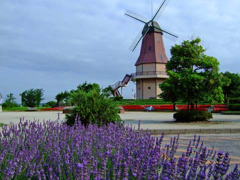 f0147025_18115857.jpg