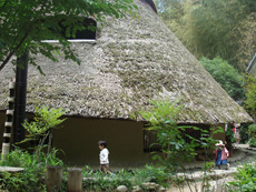 d0041227_053542.jpg