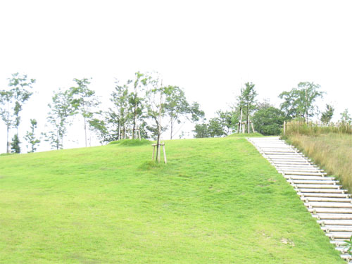 d0036630_11241418.jpg