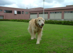 f0054731_15491934.jpg