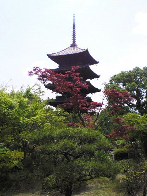 e0064133_1133768.jpg