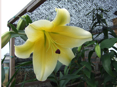 f0008935_1113773.jpg