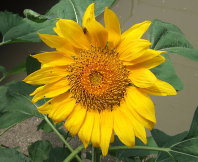 f0008935_1125096.jpg