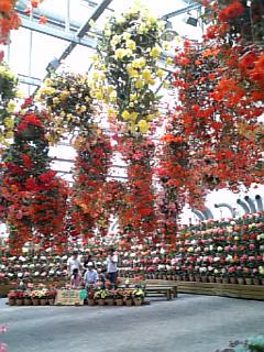 c0056237_0111410.jpg