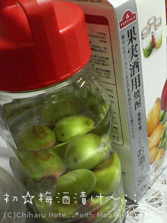 c0046340_1814558.jpg