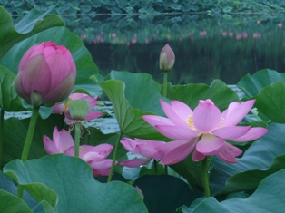 c0122445_1052511.jpg