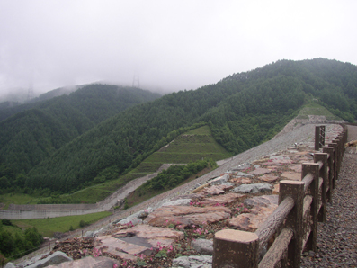 a0044046_031693.jpg