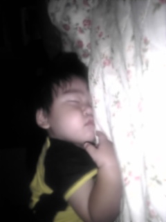 c0125046_0501662.jpg