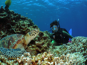 d0065247_23102570.jpg