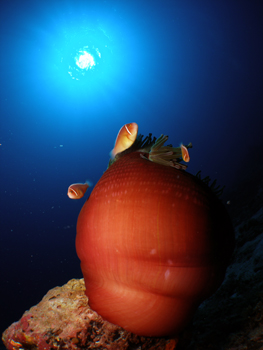 d0065247_23123576.jpg