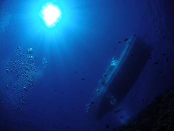 d0065247_2392277.jpg