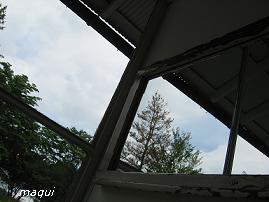 c0098050_20282972.jpg