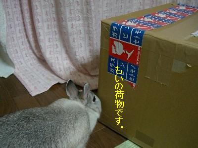 f0104057_21371486.jpg