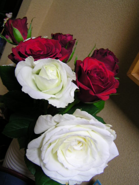 f0074659_23441386.jpg
