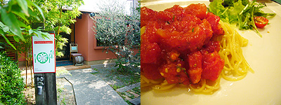 c0027965_0361671.jpg