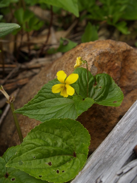 d0025568_19375486.jpg